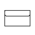 Paper Portvelope w/ 3 5/8" Flap (12"x10")